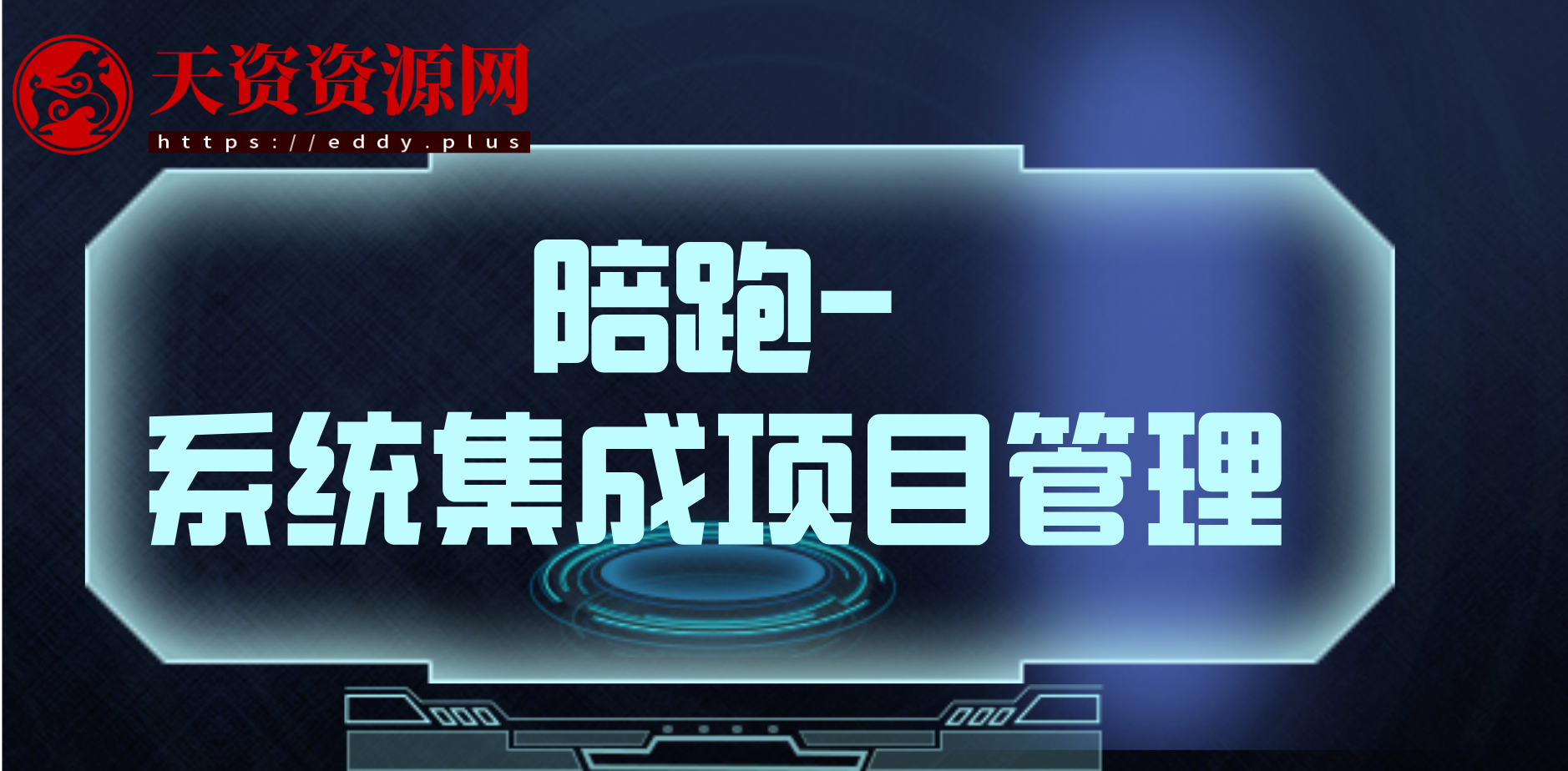 陪跑-系统集成项目管理工程师